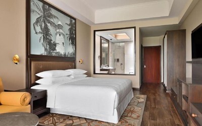 Premier Room With Plunge Pool