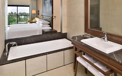 Premier Room With Plunge Pool