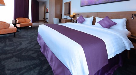 Panoramic View Room