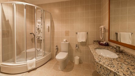 Superior Room Land View