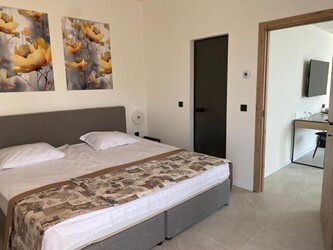 1 Bedroom Apartment Ap1