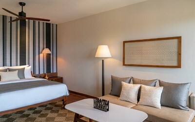 Premium Suite