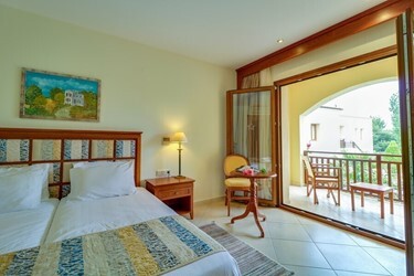 Double Room for Single Use with Pool View