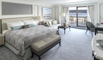 Terrace Junior Suite