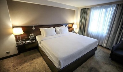 French Grand Deluxe Room 