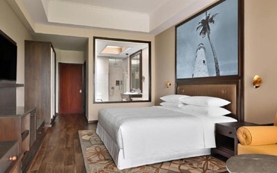 Deluxe Ocean View Room