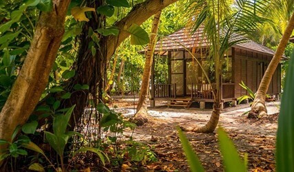 Deluxe Garden Villa