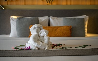 Romance Ocean View Room