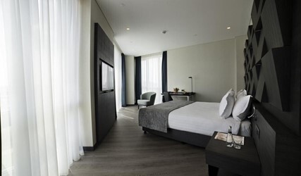 Executive King Suite 