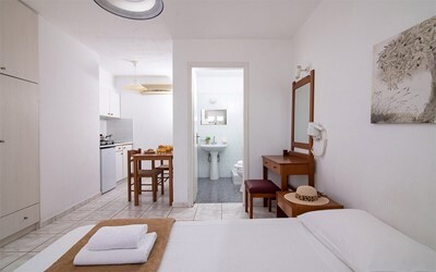 Studio with Garden or Pool View A/C