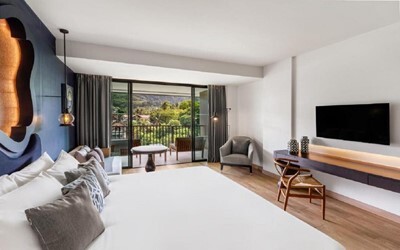 Deluxe Pool View Room