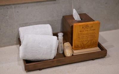 Double Pool Access Ocean View