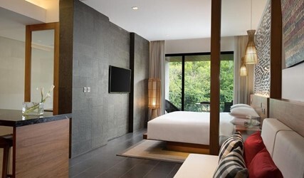 One-Bedroom Junior Suite with Balcony