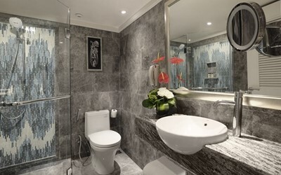 PREMIUM DUPLEX SUITE