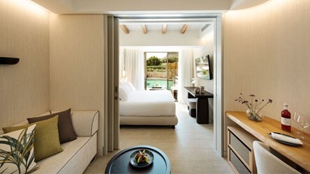 Family Suite Swim Up Sharing Pool