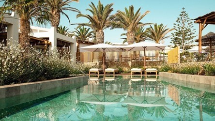 Suite Swim Up Sharing Pool