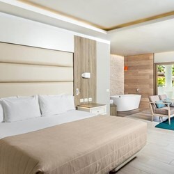 1 King Bed Corner Deluxe Junior Suite
