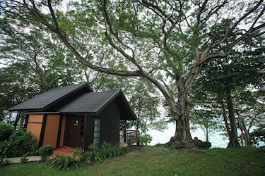 Deluxe Cottage