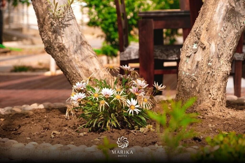 Фотографія Marika 3*