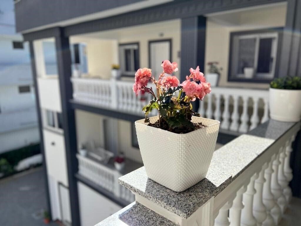 Фотографія Vila Aaron 3*