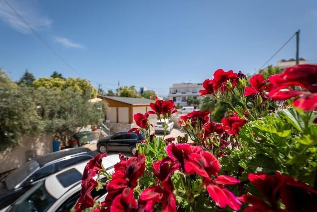Картинка Villa Vasili 4*