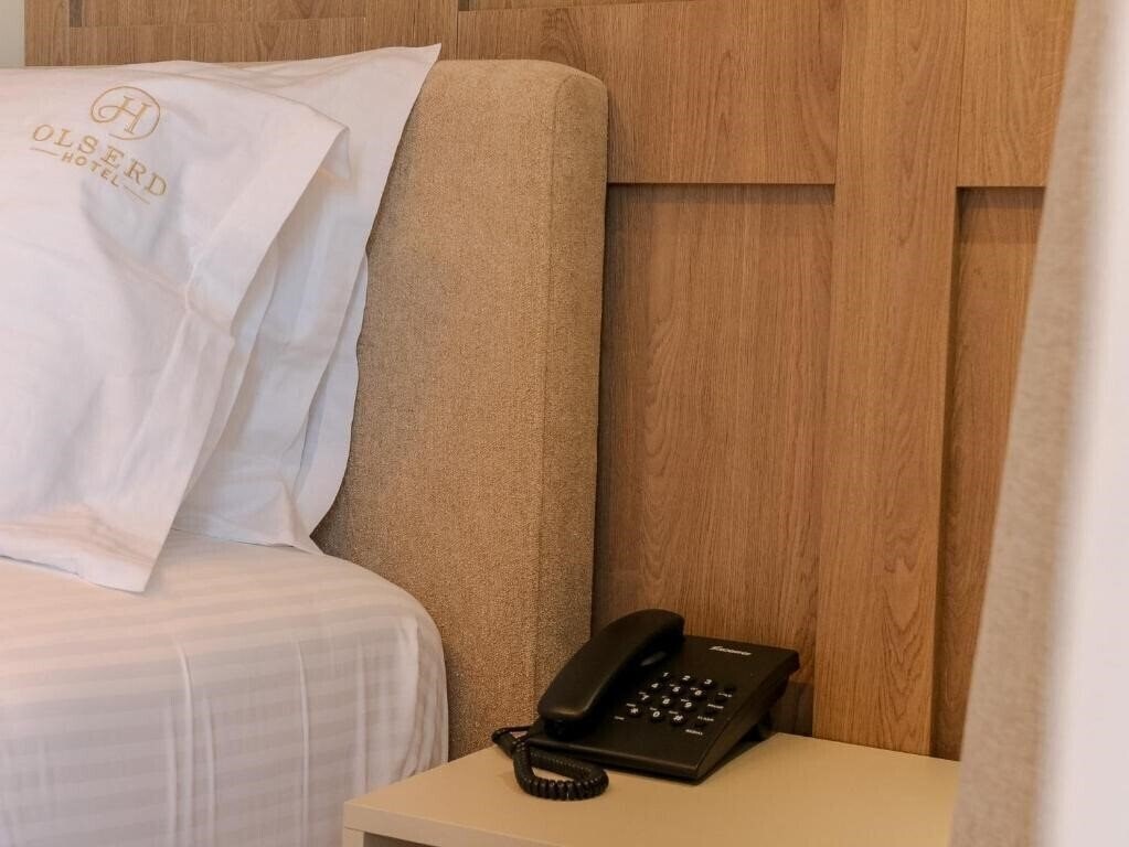 Картинка Hotel Olserd 3*