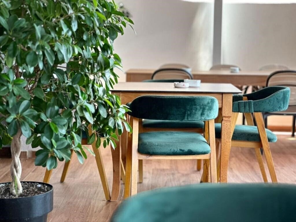 Фото Vila E Bardhe 4*