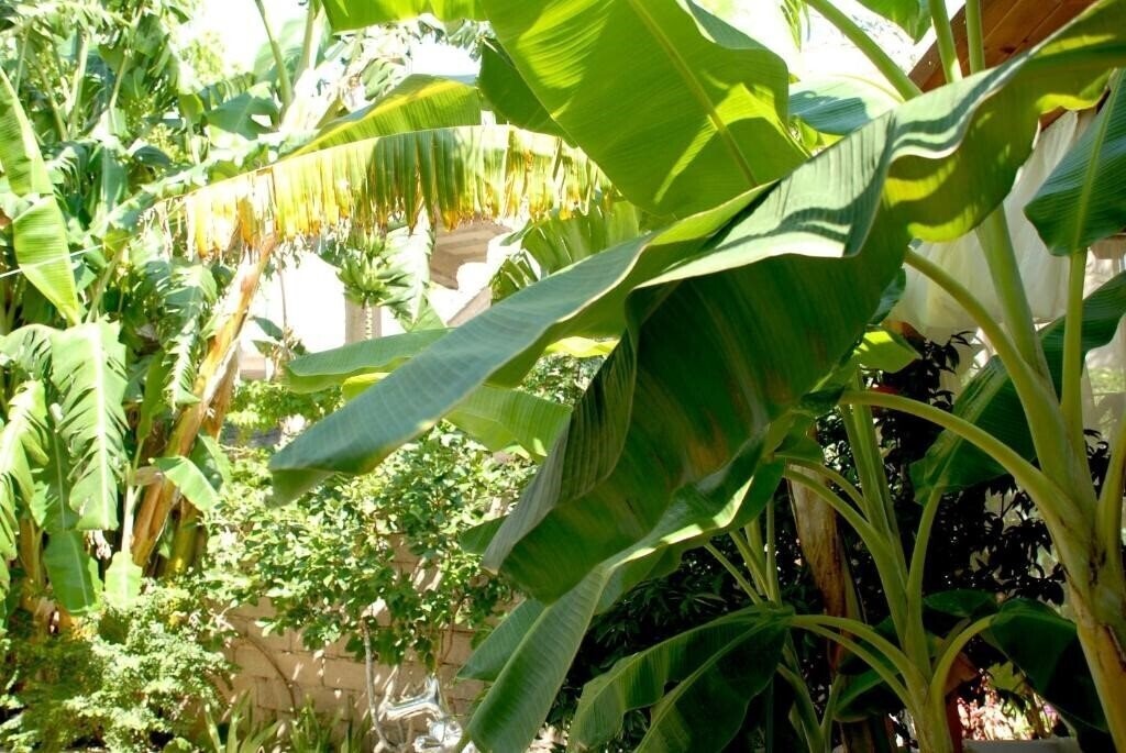 Зображення Villa Mucho 3*