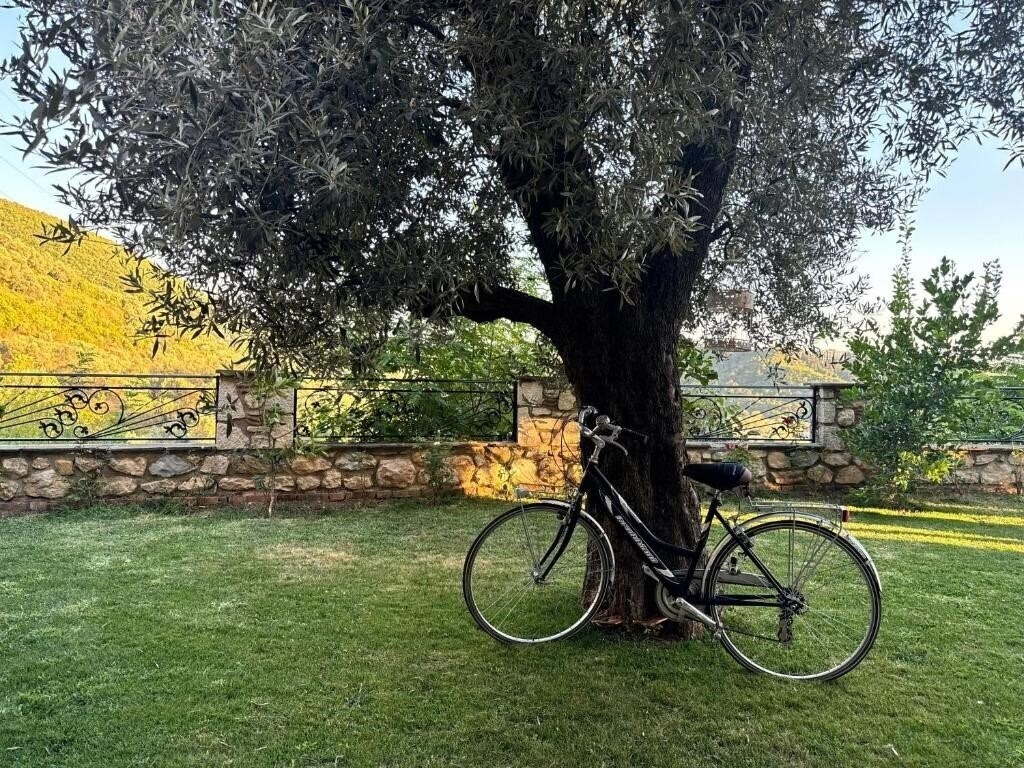 Зображення Chateau Fasel 3*