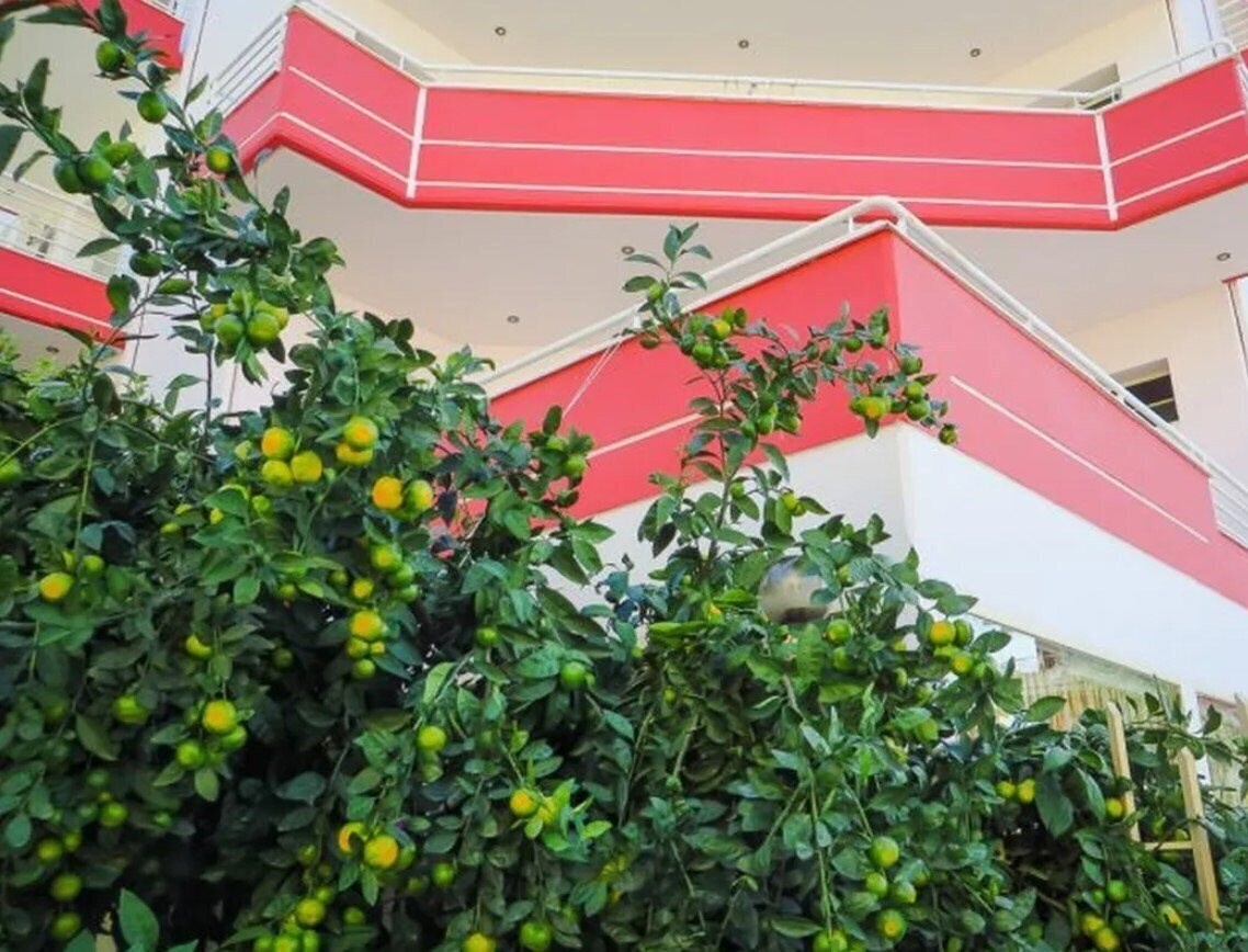 Фотографія Hotel Leon's (ex. Hotel Leon, Hotel Leons) 3*