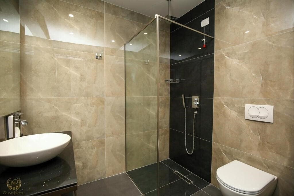 Фото Hotel Olive 3*