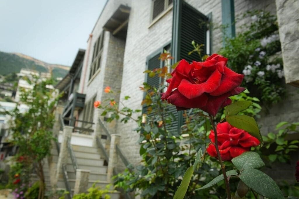 Изображение Dorina App 3*