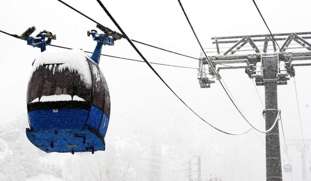 Зображення Arbre De Neu 3*