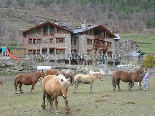 Фотографія Aparthotel Fijat 3*