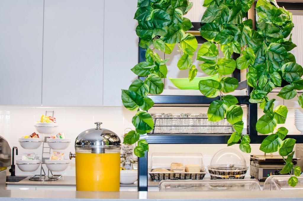 Изображение Ibis Budget Sydney East 2*