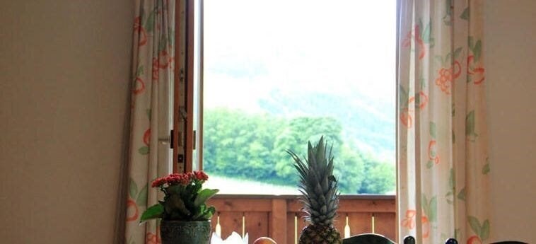 Картинка Appartementhaus Sonnwies 4*