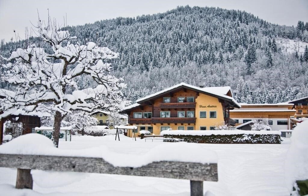 Готель Appartements Haus Austria Apt 1*