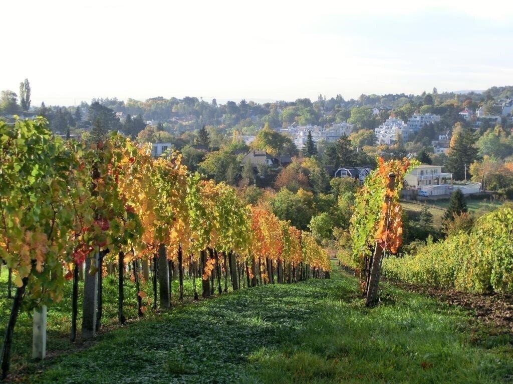 Готель Hotel Schild Vienna 4*