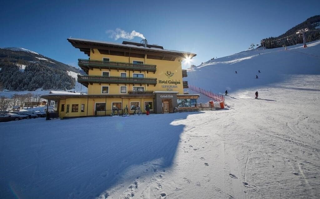 Отель Hotel Gungau 3*