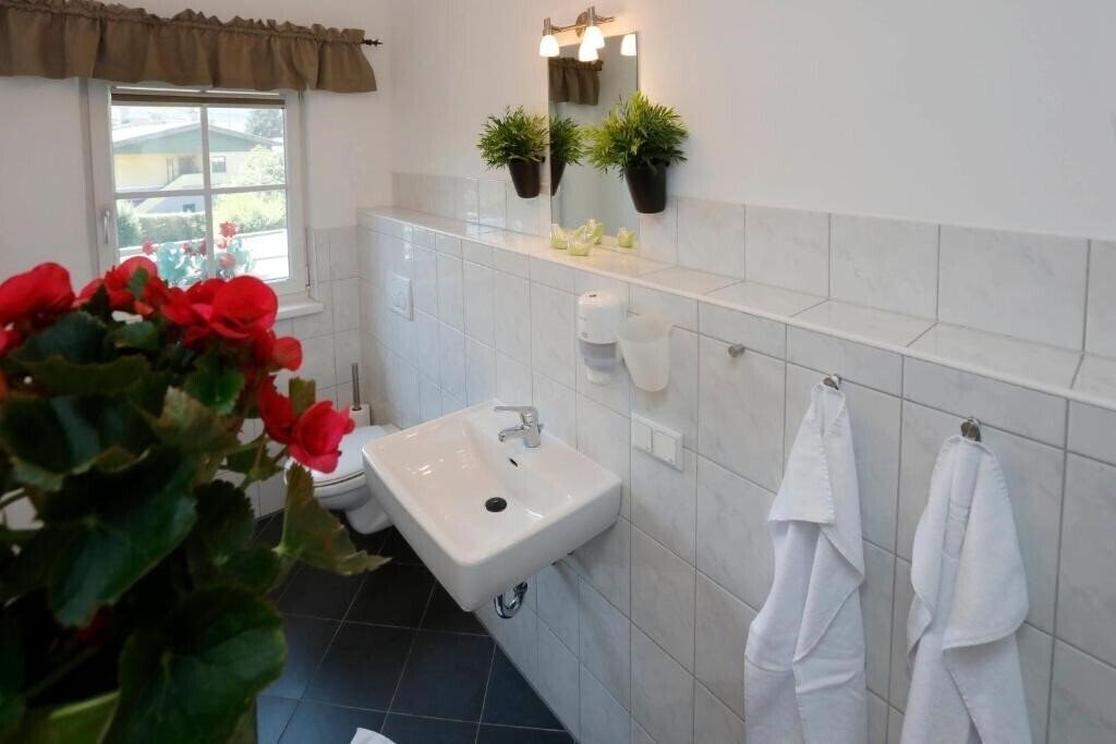 Картинка Ante Portas 3*