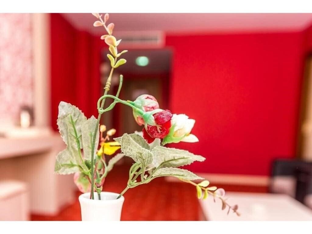 Фотография Rose Mary Hotel 4*