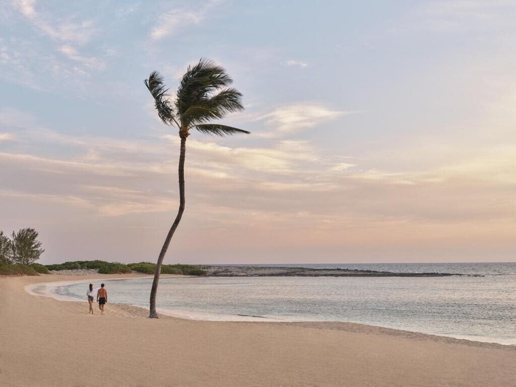 Зображення The Cove Atlantis 4*