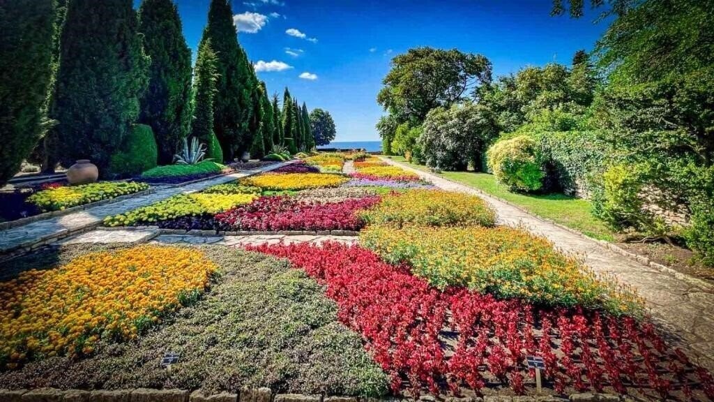 Картинка Morska Zvezda 2*