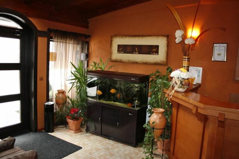 Картинка Elida Bansko 3*