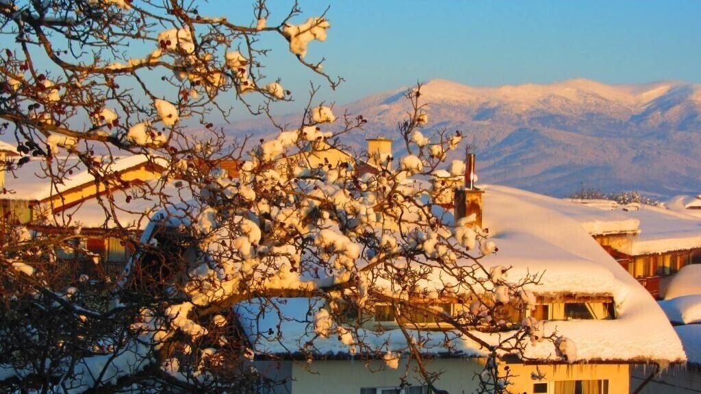 Картинка Family Hotel Santo Bansko 3*