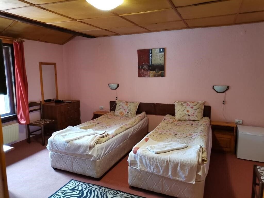 Фото Family Hotel Santo Bansko 3*