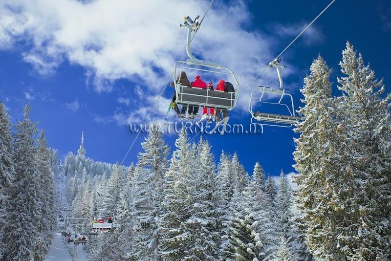 Зображення Forest Star 2*