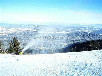 Фотографія Forest Star 2*