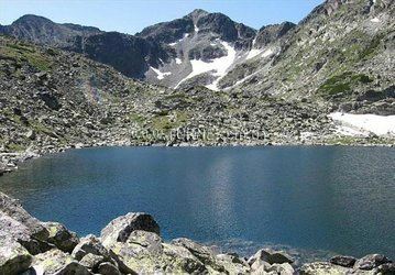 Готель Forest Star 2*