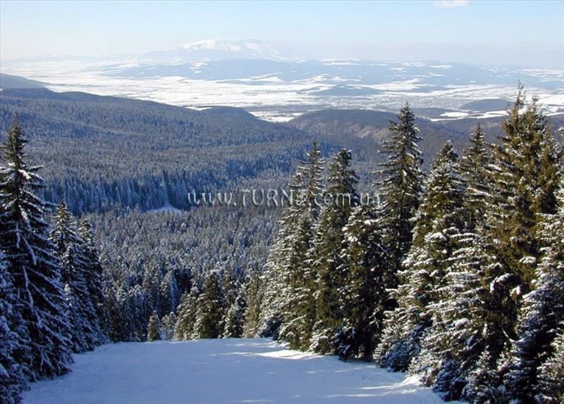 Фотографія Рила 4*